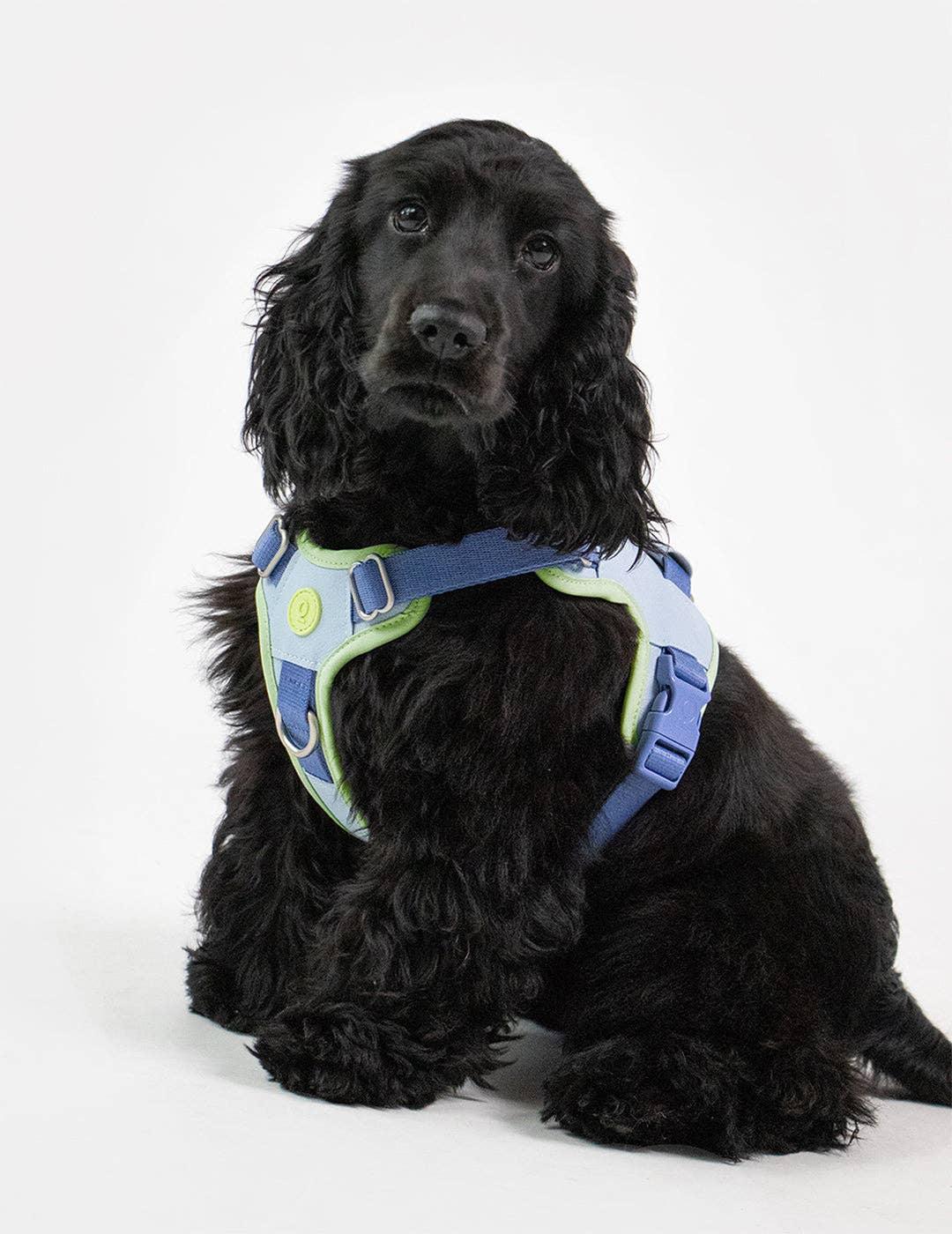 Harnais pour chien Hug Premium – Atelier Poilu - Main Image