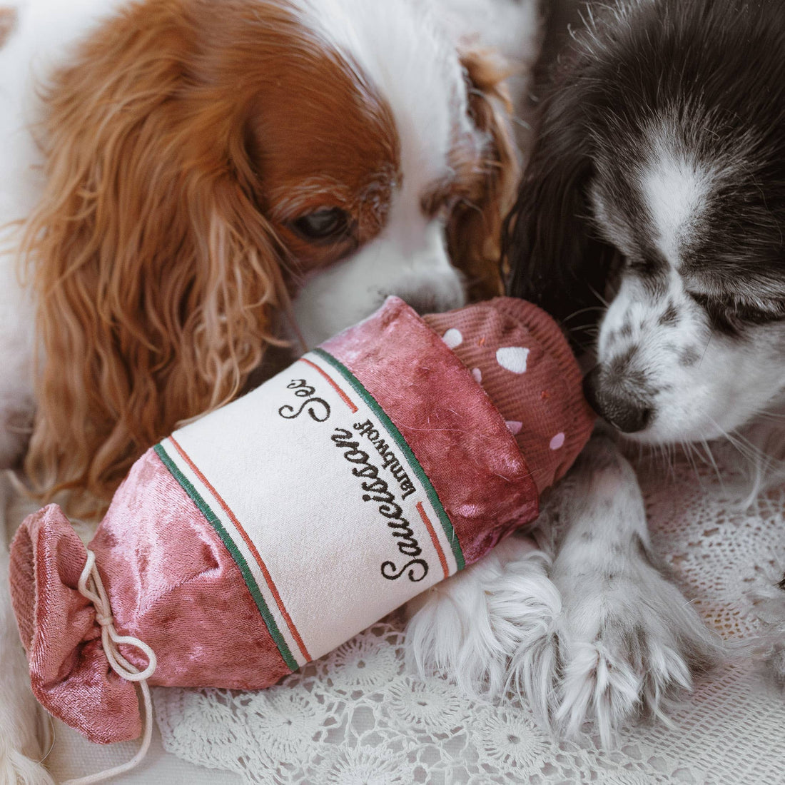 Nos idées cadeaux pour chouchouter son chien à la Saint Valentin 💘