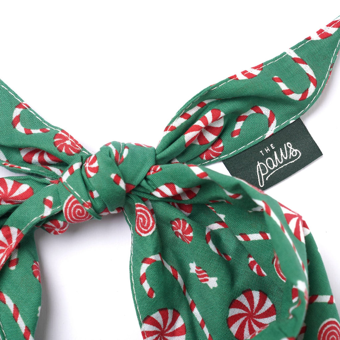 Chien entouré de cadeaux de Noël : bandana, pull et jouets