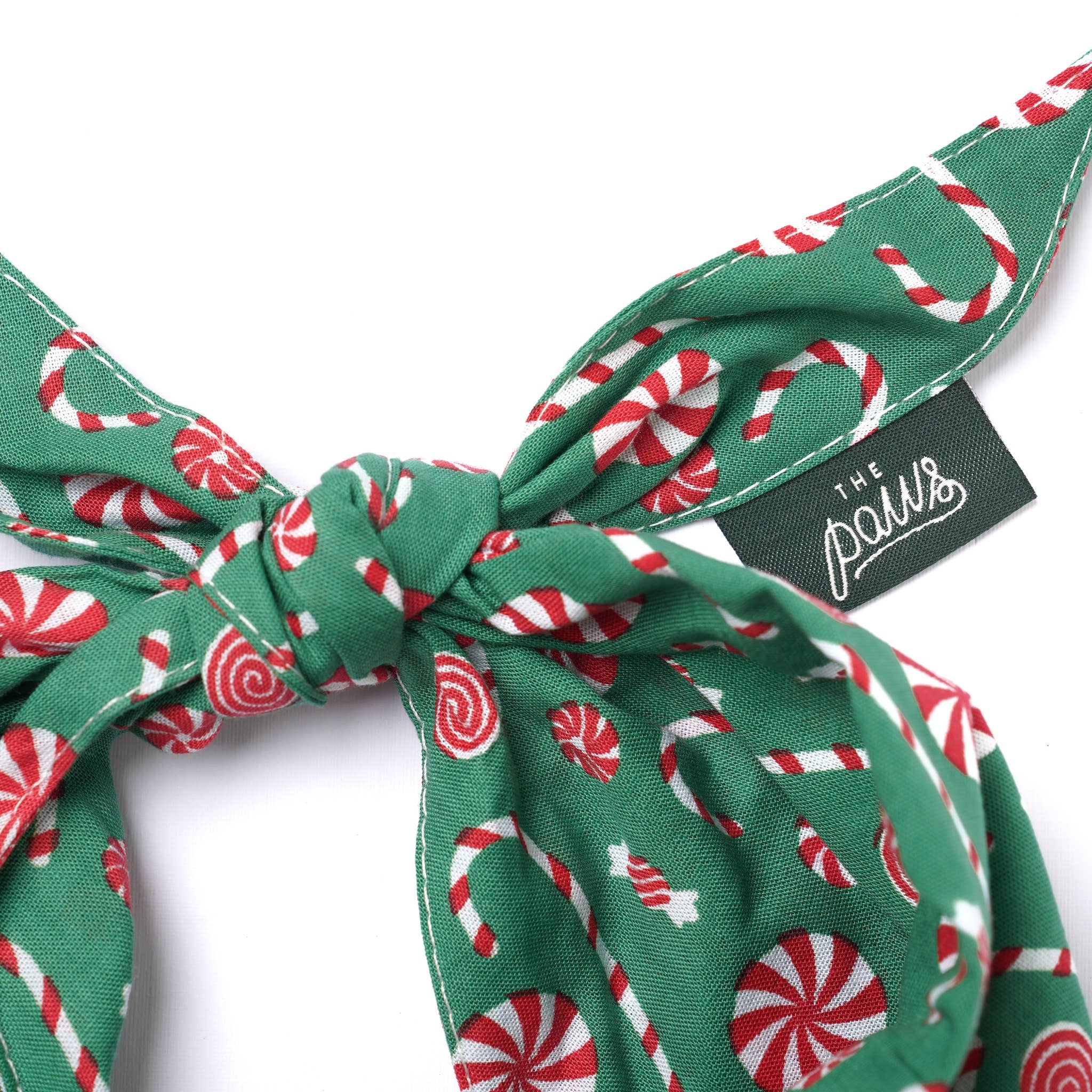 Chien entouré de cadeaux de Noël : bandana, pull et jouets