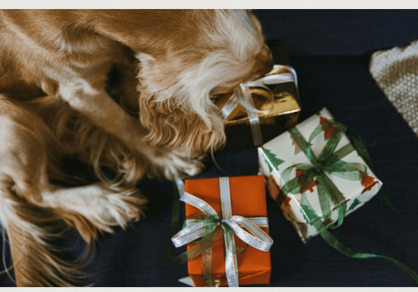 Merry Woofmas !