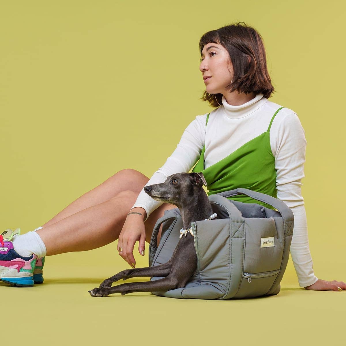 Sac pour chien Joyflow