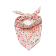 Bandana de Noël Elfie
