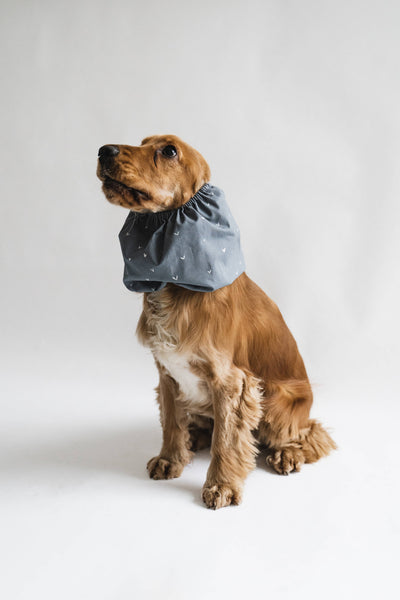 Cocker-Snood Navy Blue