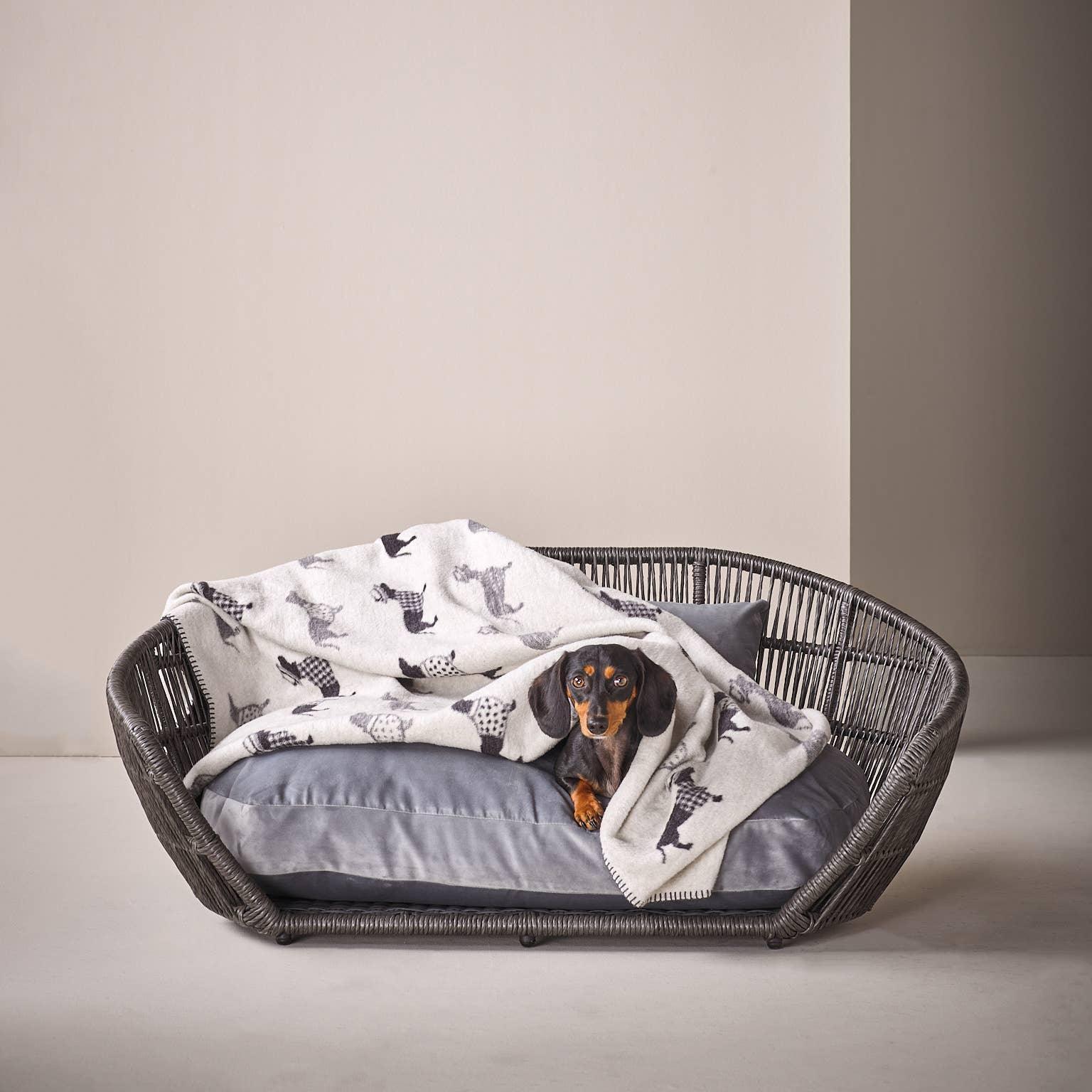 Dachshund Fleece Blanket