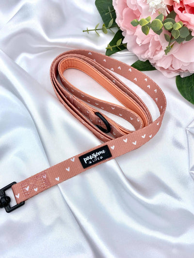 Love Is Leash