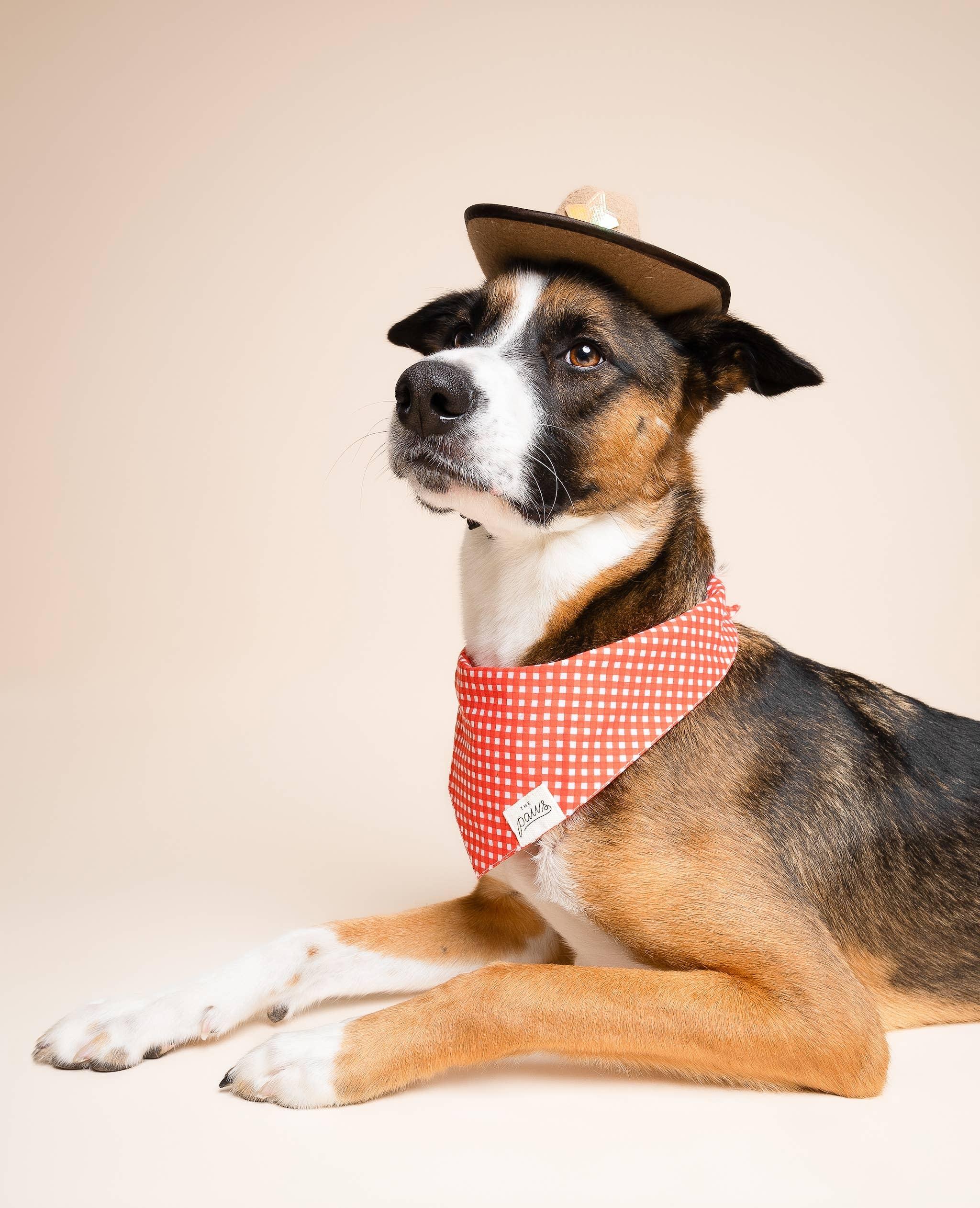 Red Vichy Bandana