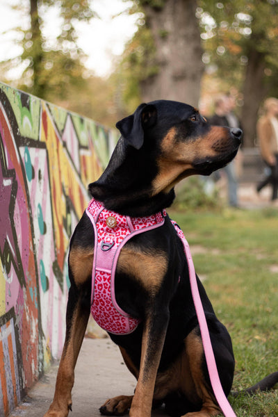 Verstelbare riem Pink Panther