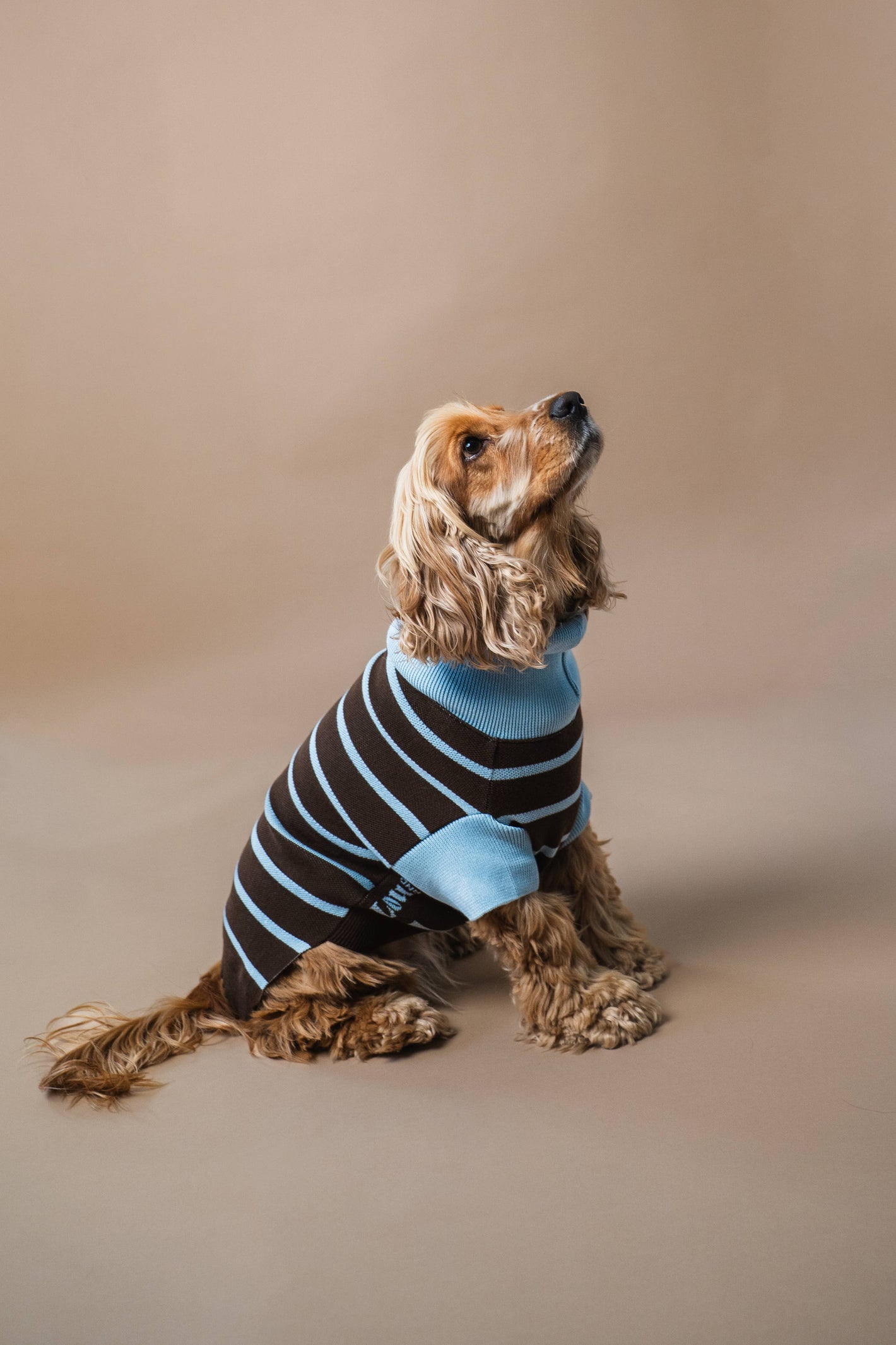 Maglione a righe