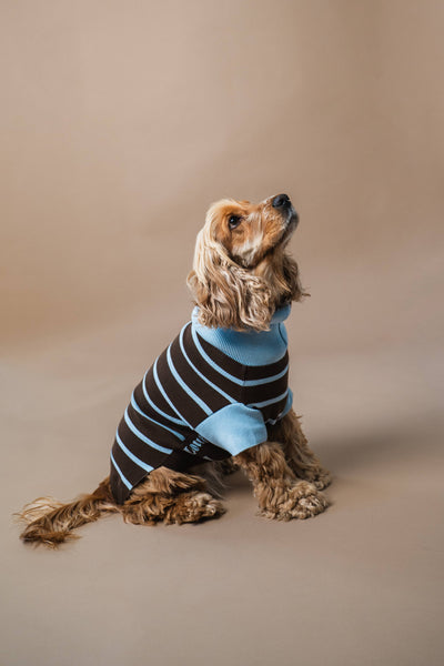 Pullover mit Streifen