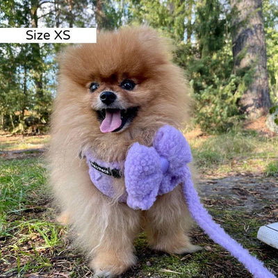 Pettorina regolabile Teddy Lilas