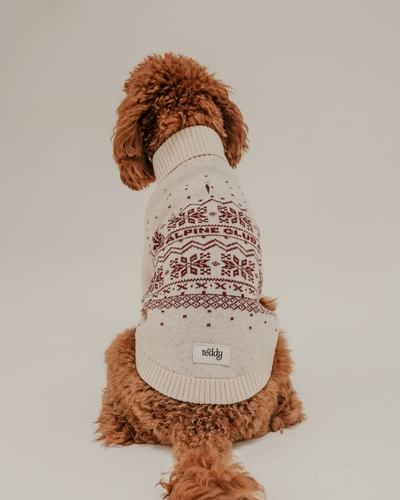 By Teddy - Snowberry | Pull Après-ski en maille à col roulé - S/M