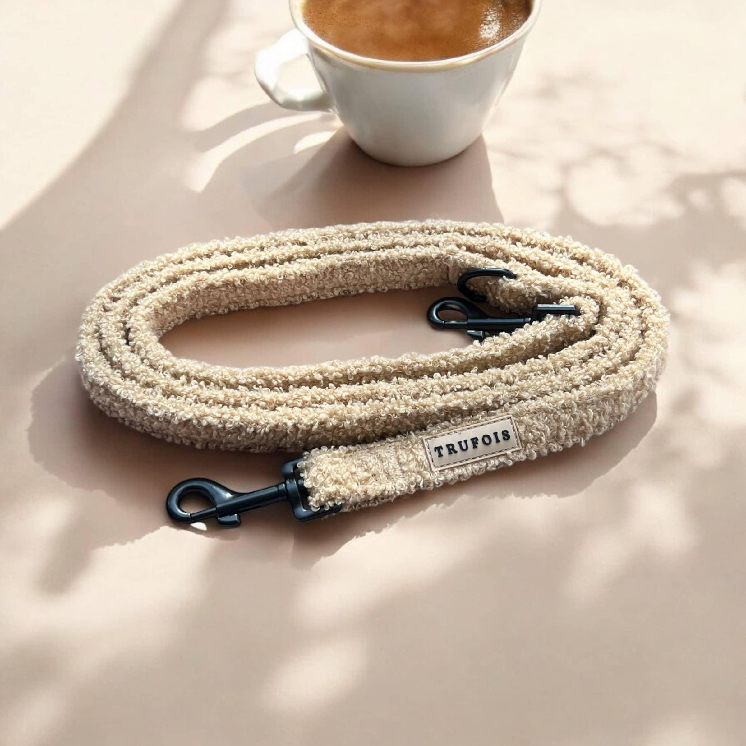 Laisse Teddy Cappucino
