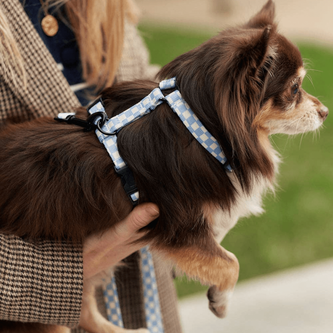 Harnais motif Vichy
