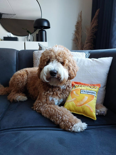 Plüschspielzeug Cheedogs