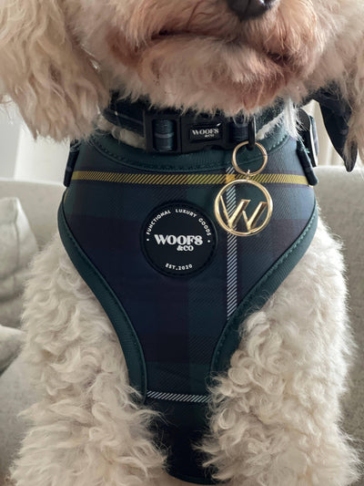 Tartan Harness