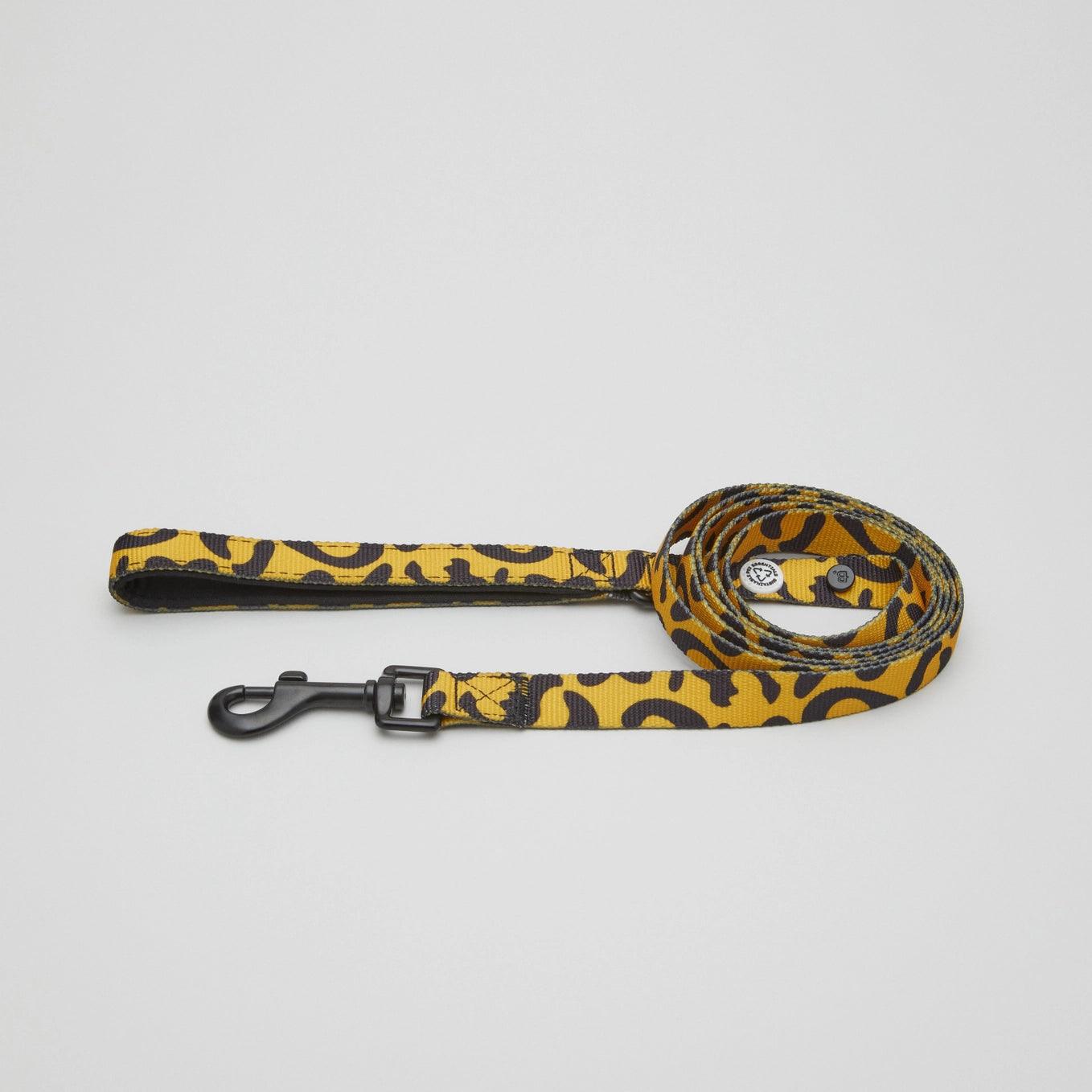 Laisse Funky Leo