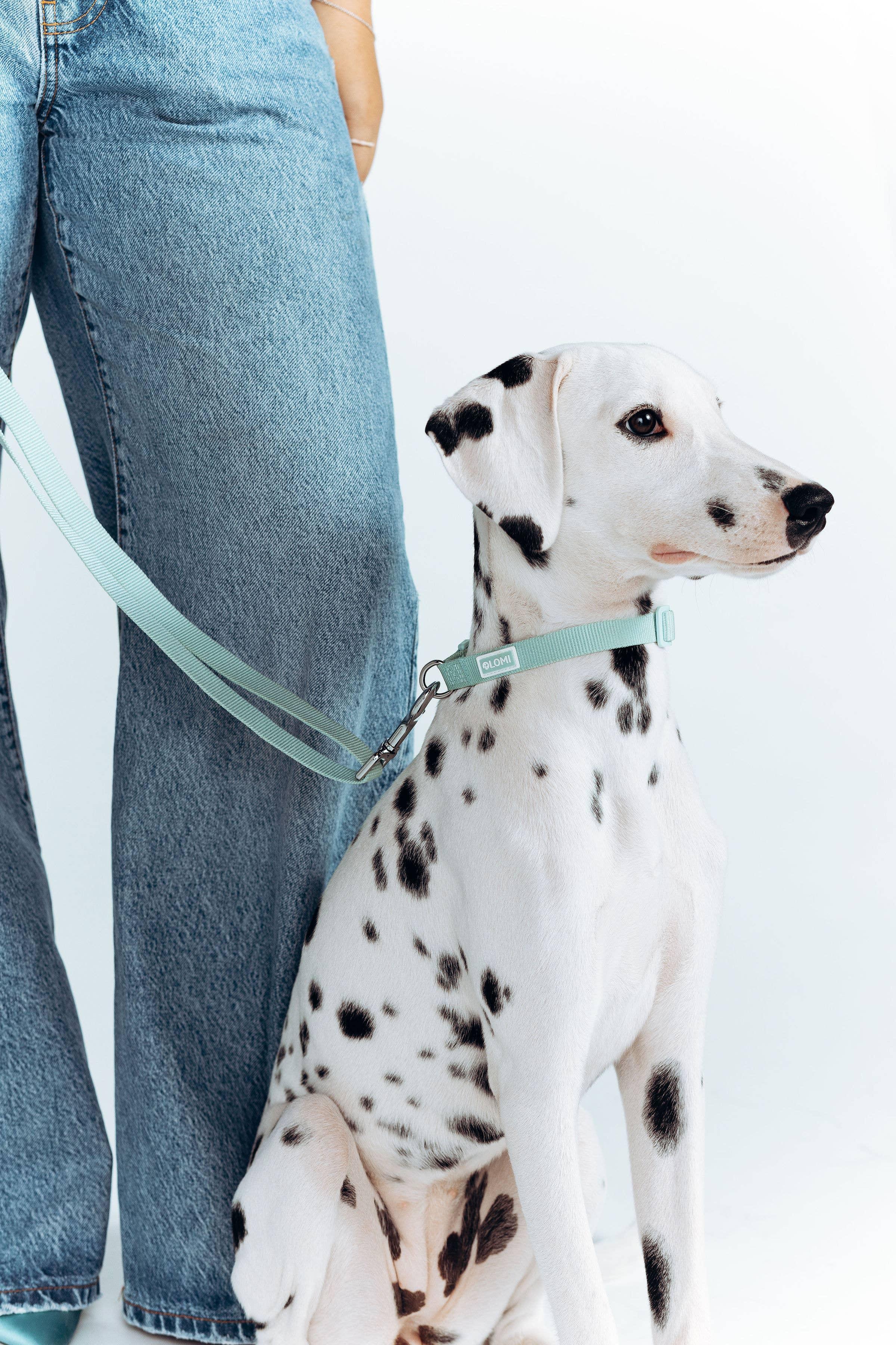 Lomi necklace in recycled PET