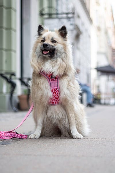 Verstelbare riem Pink Panther