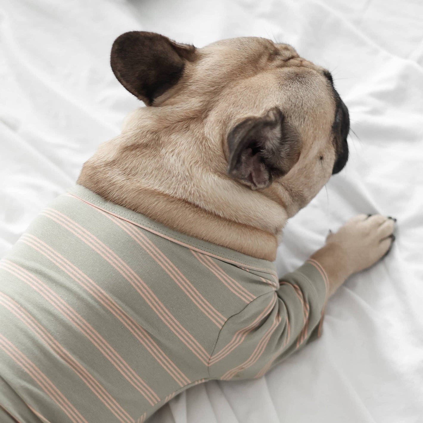 T-shirt a righe in cotone per cani