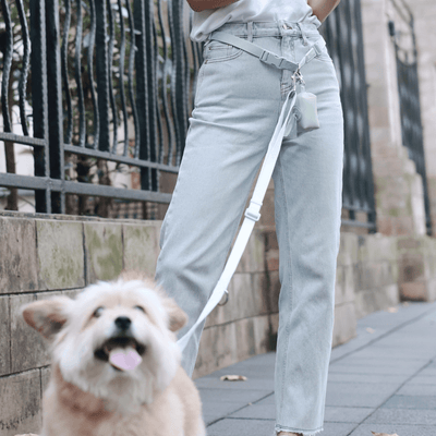 Θήκη σακουλών ακαθαρσίας