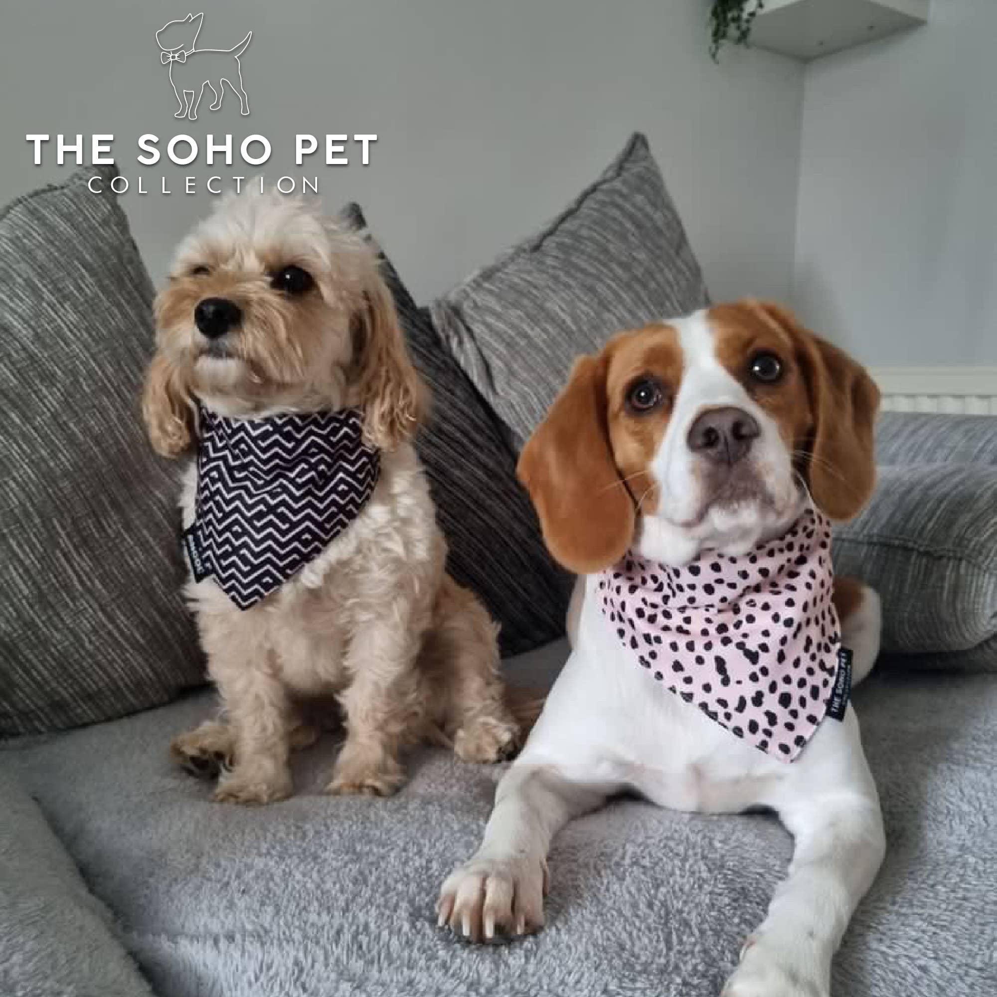Bandanas Dalmatien/Zig Zag