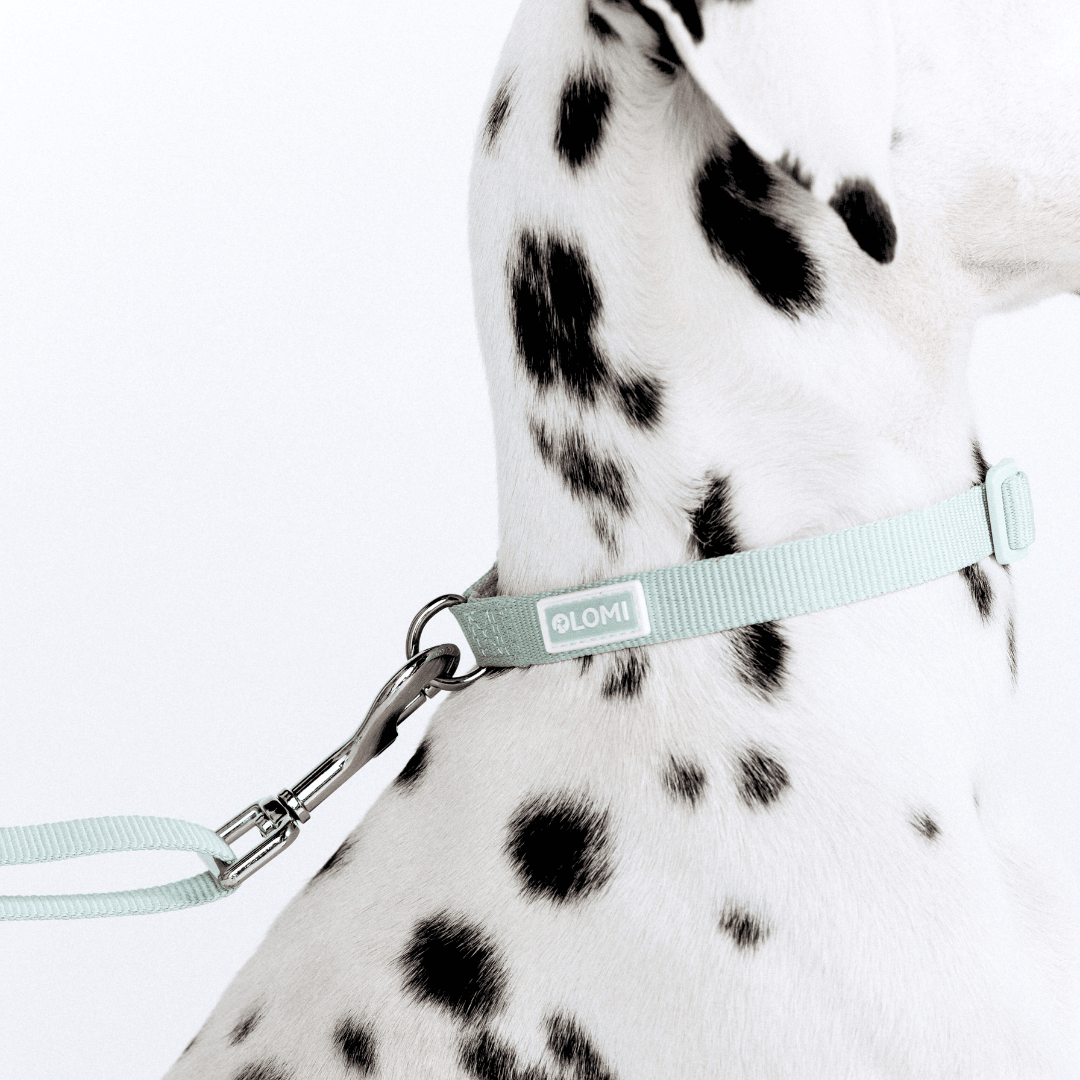 Lomi necklace in recycled PET