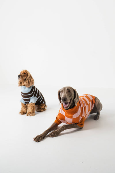 Pullover mit Streifen