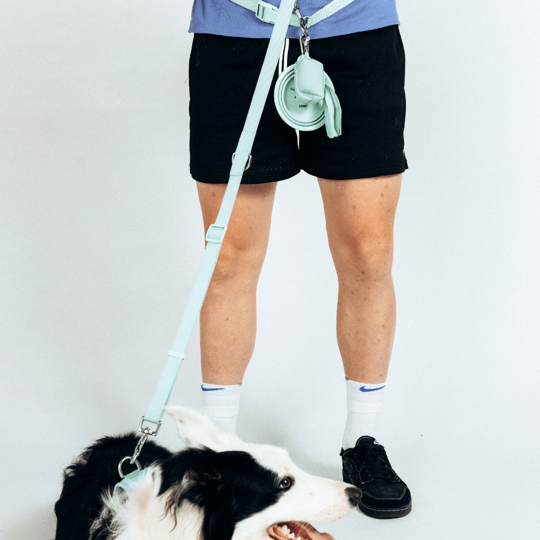 Lomi multifunctional leash