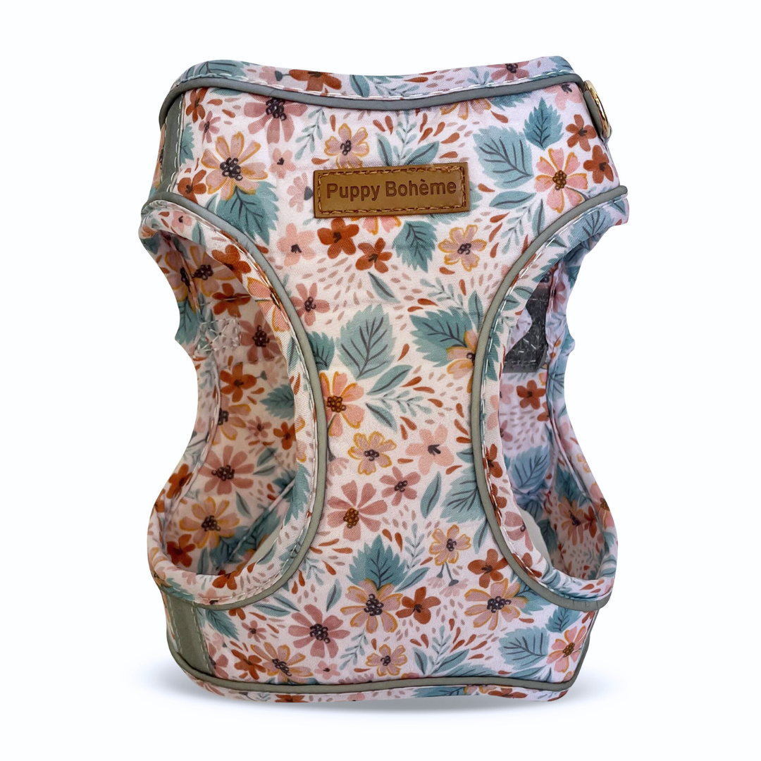 Harnais step-in Sonya