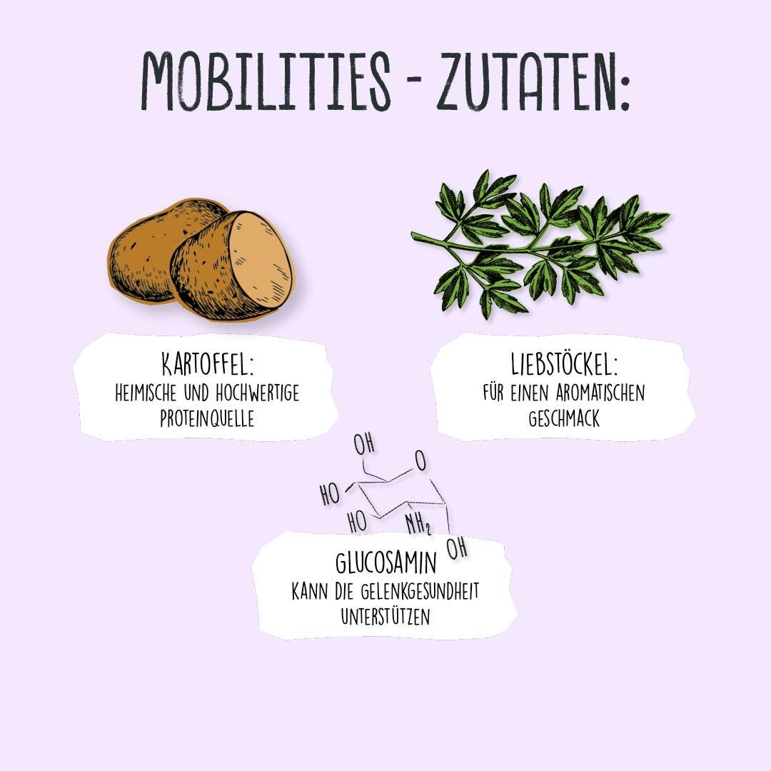 Friandises végétales "Mobilités"