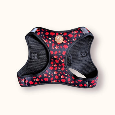 Autumn Leaves Harness