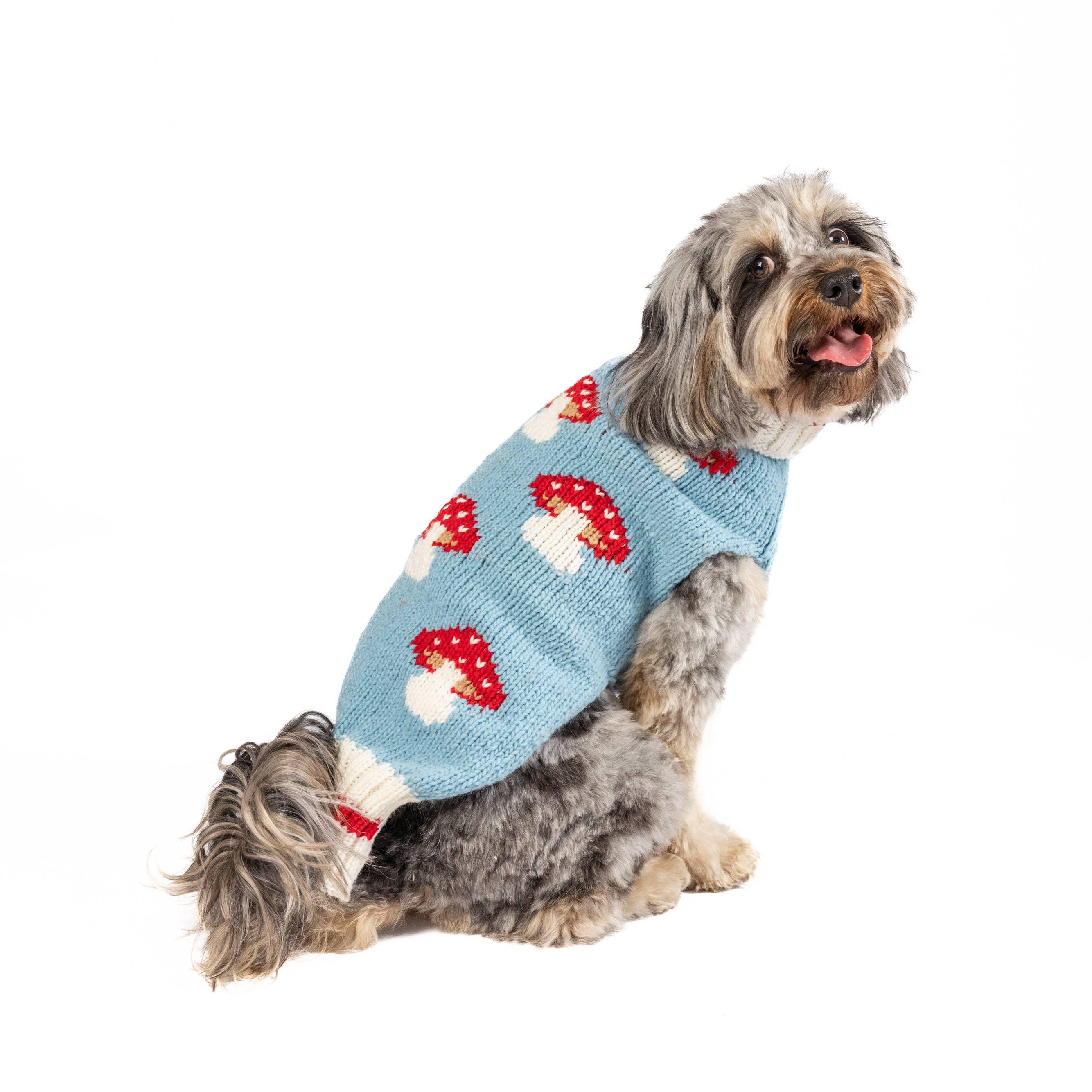 Pull en laine Mushroom