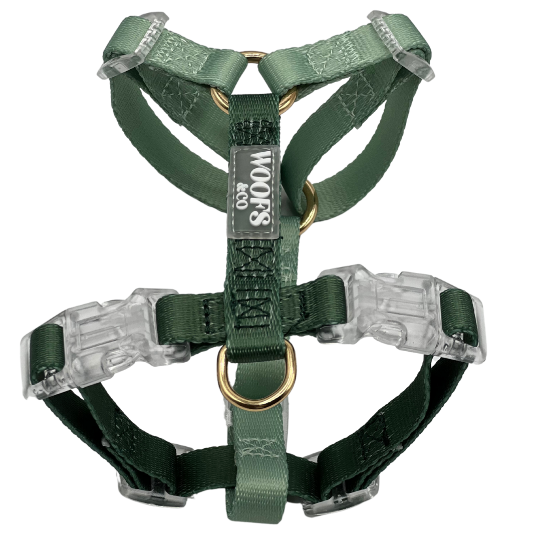 Harnais bicolore Sage Green