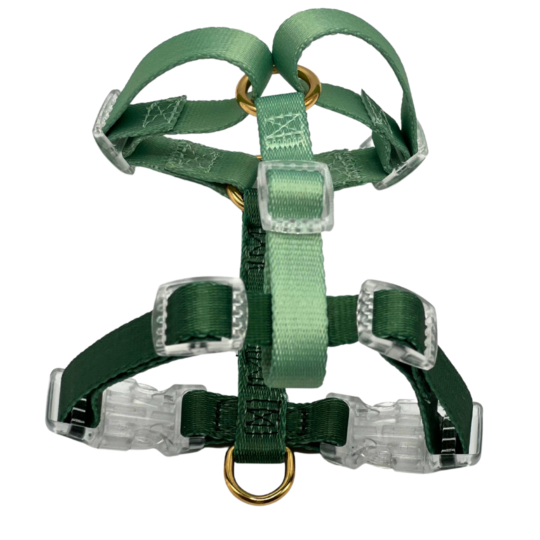 Harnais bicolore Sage Green