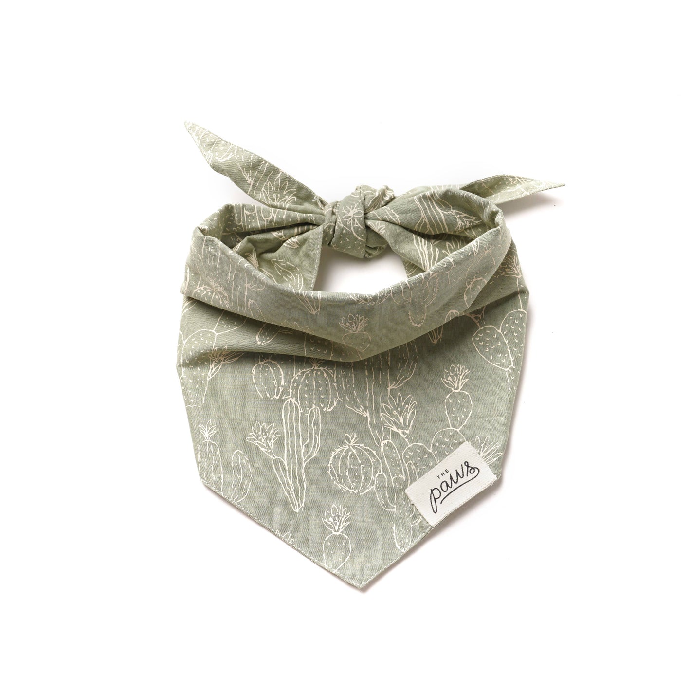 Bandana Cactus