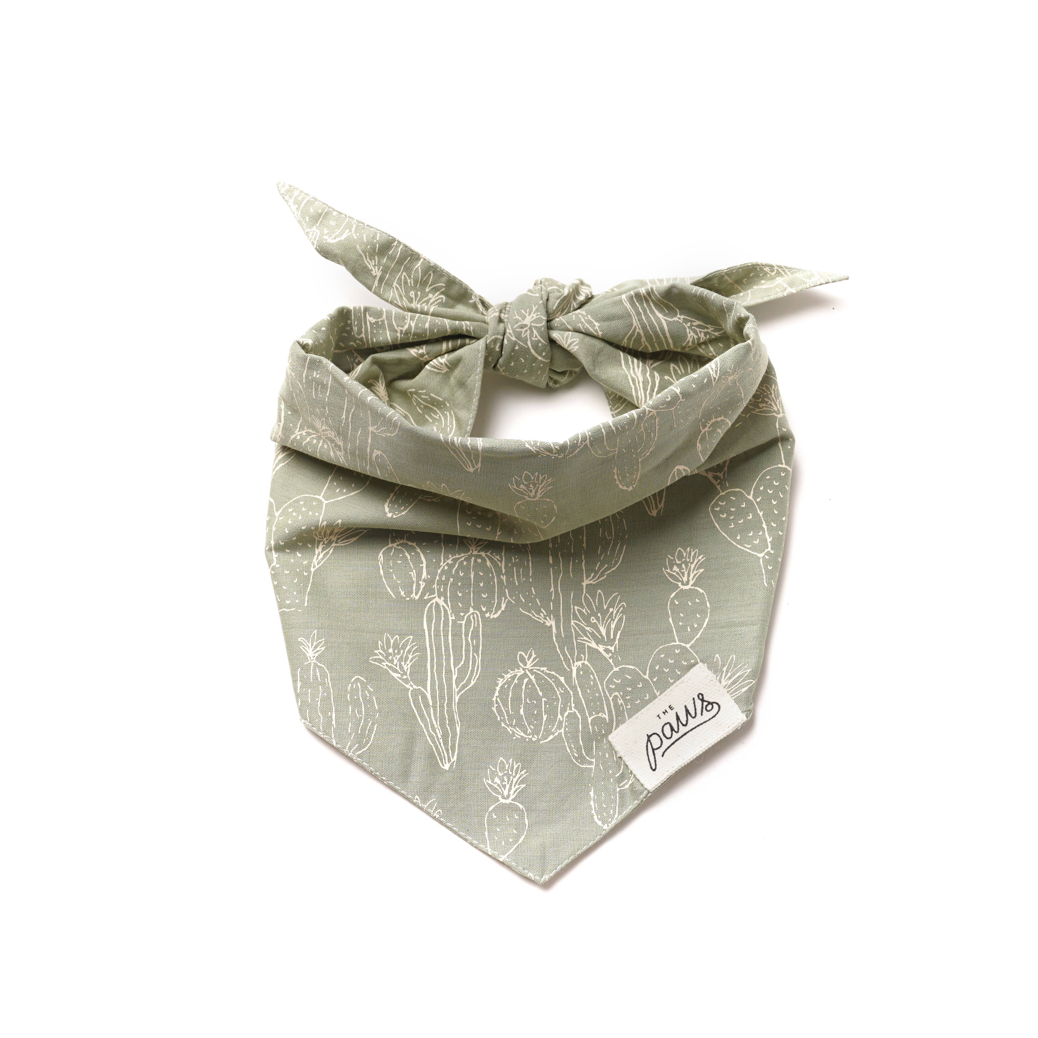 Bandana Cactus