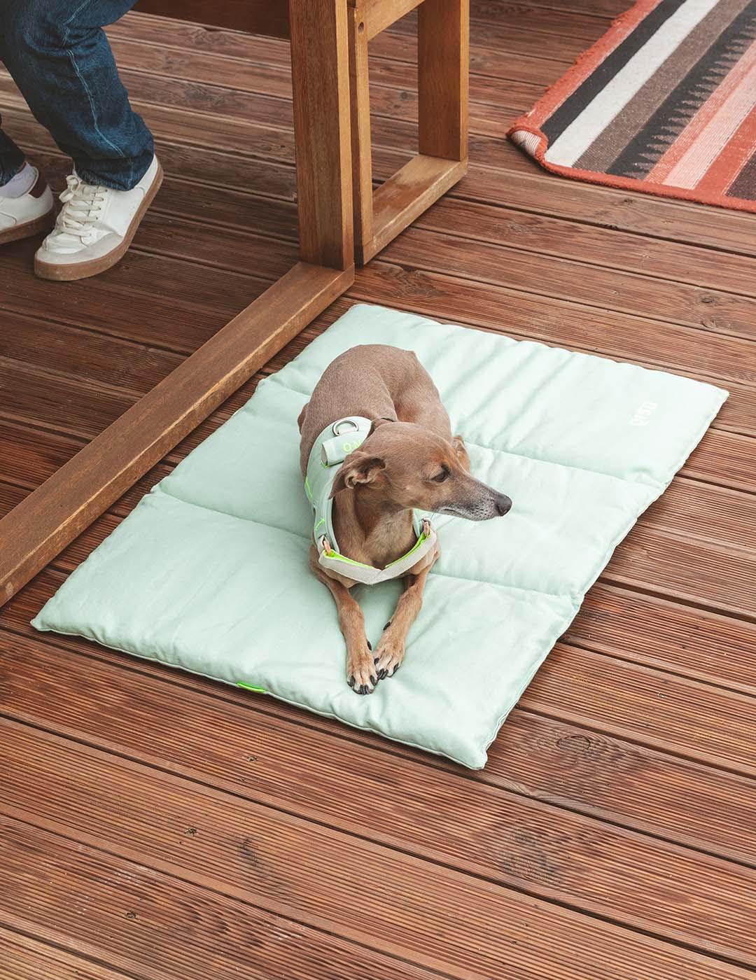 Nomadic dog bed