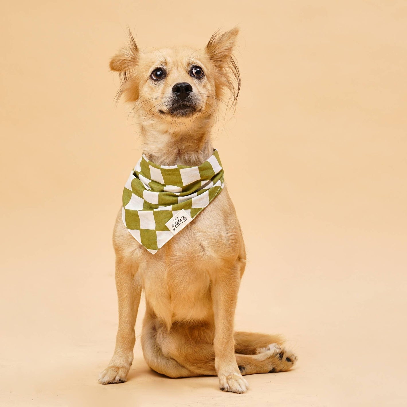 Bandana Schachbrett