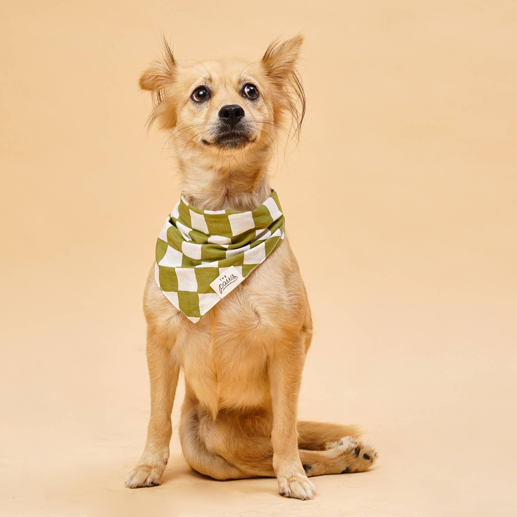 Checkered bandana