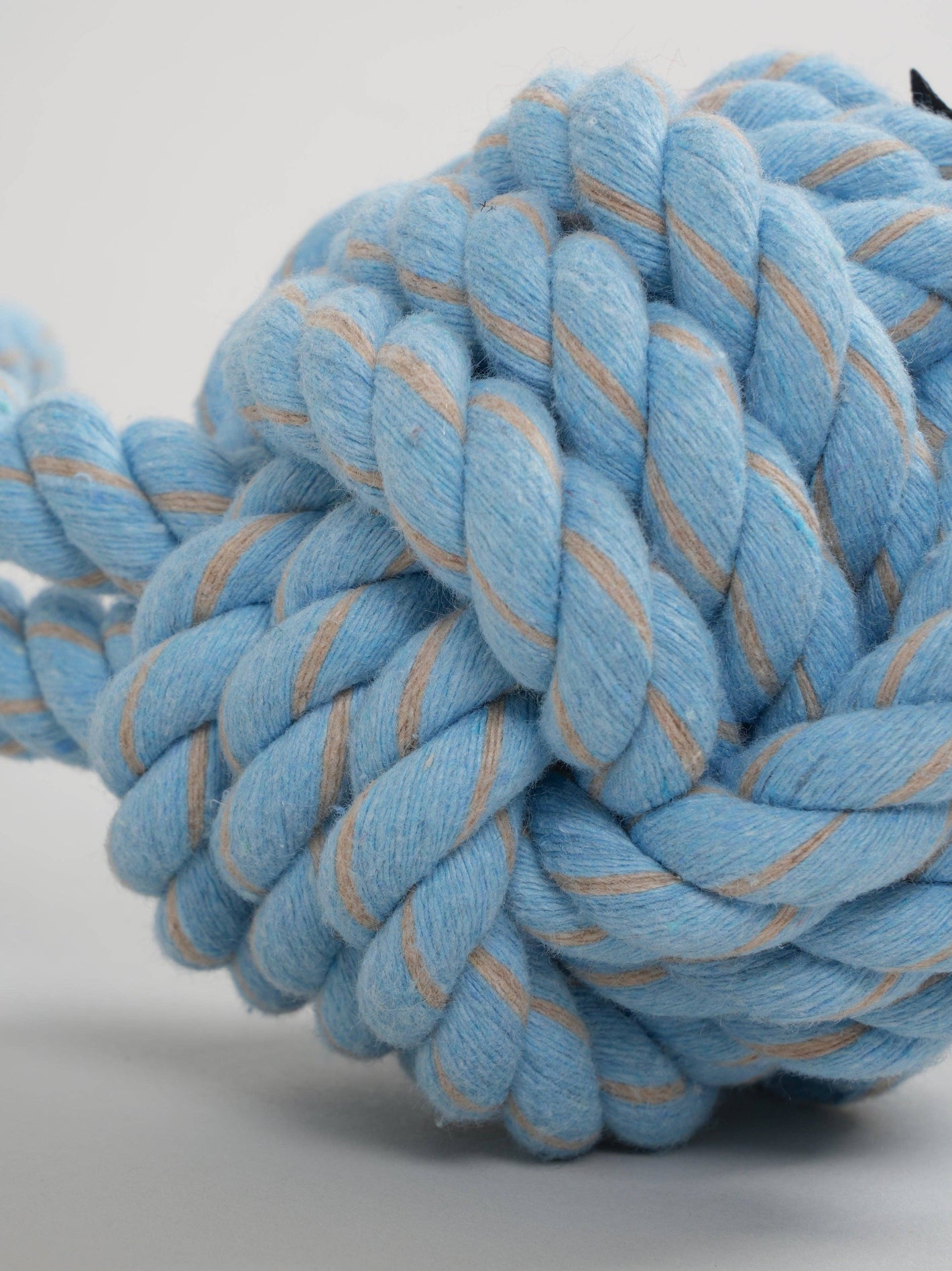 Blue Rope Toy