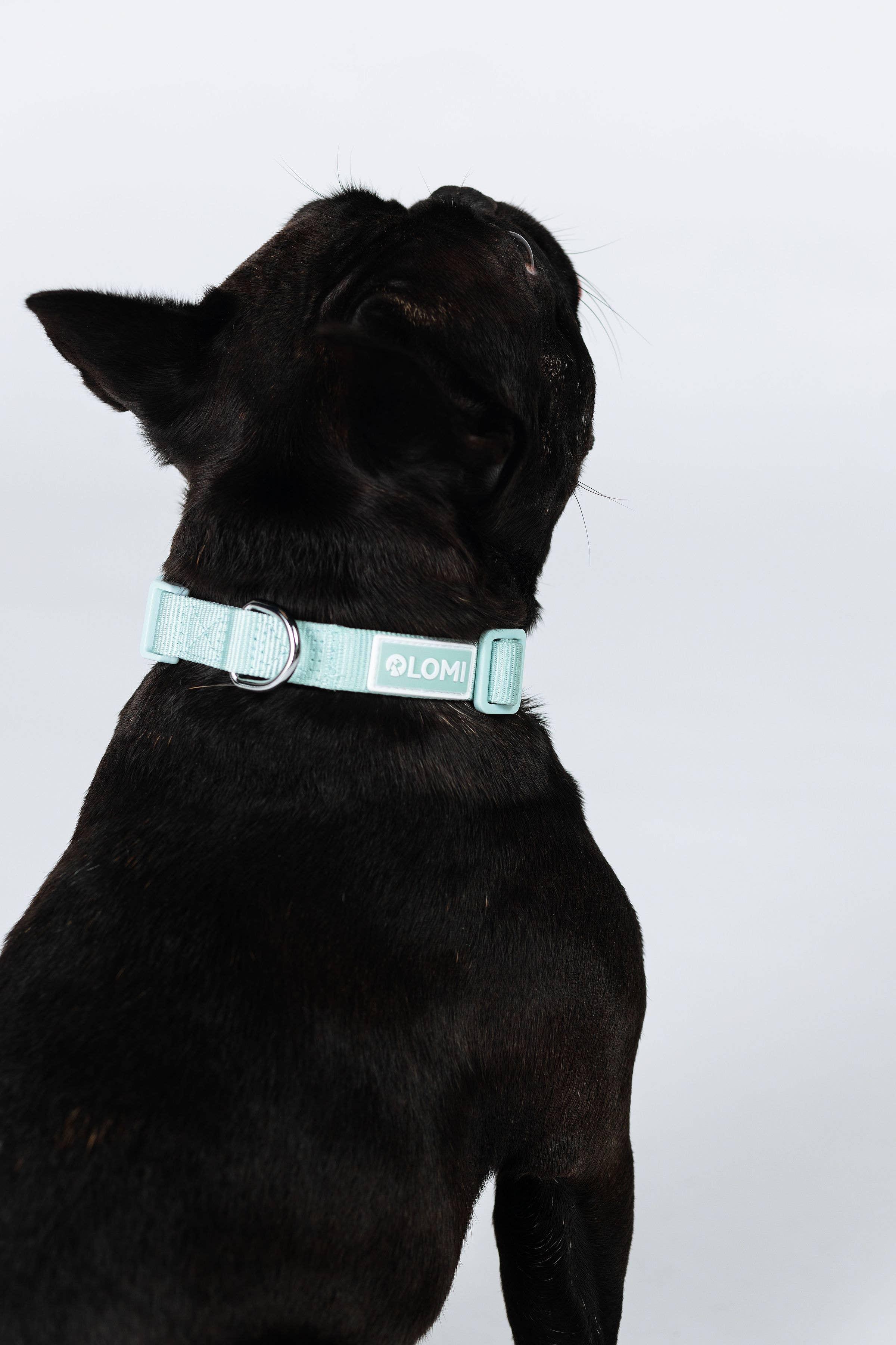 Lomi necklace in recycled PET