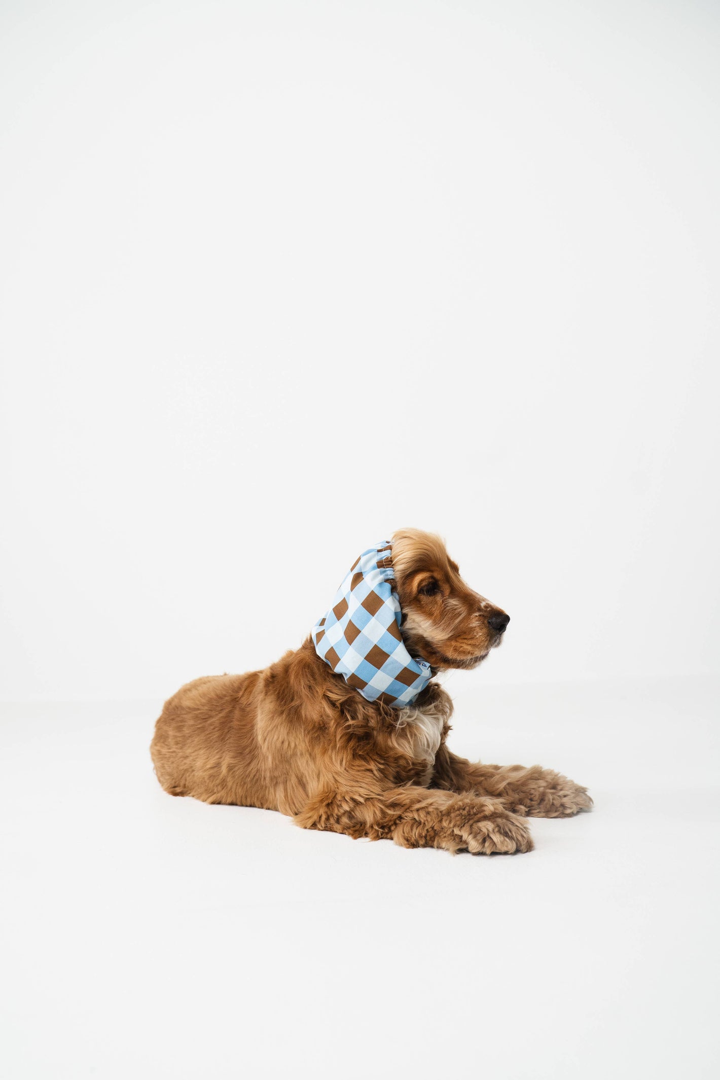 Snood vichy per cani