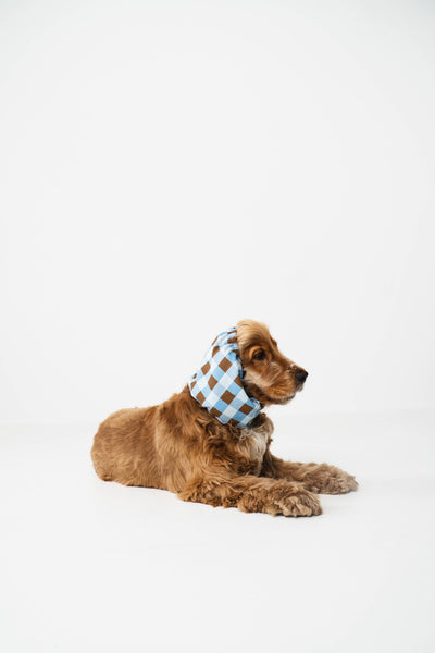 Snood vichy per cani