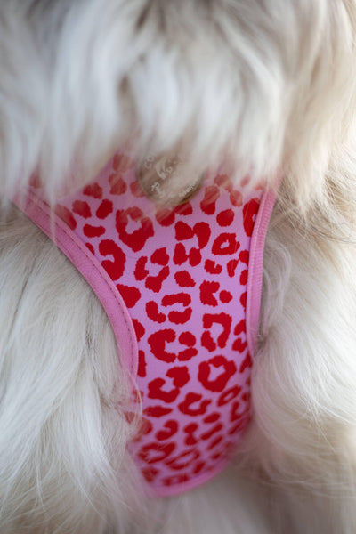 Tuig Pink Panther