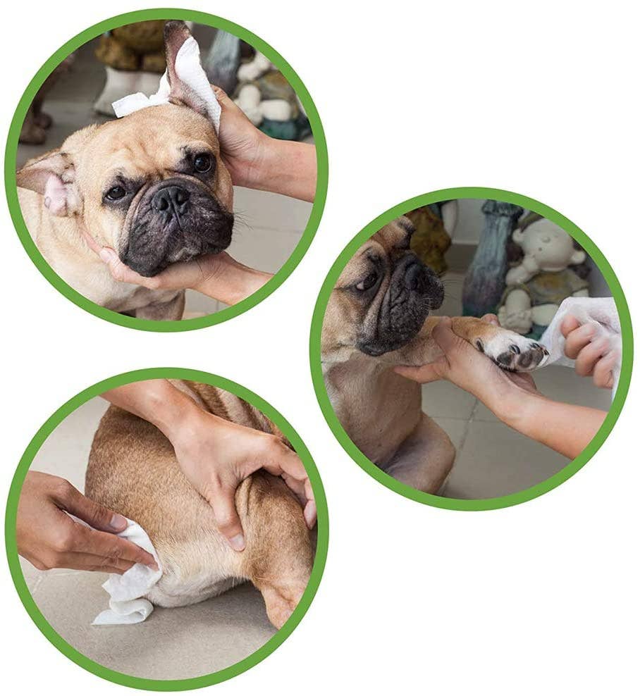 Croci - Salviette cani e gatti umidificate - Eco PetWipes - Croci - 30 pz / Argan