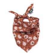 Bandana Citrouilles