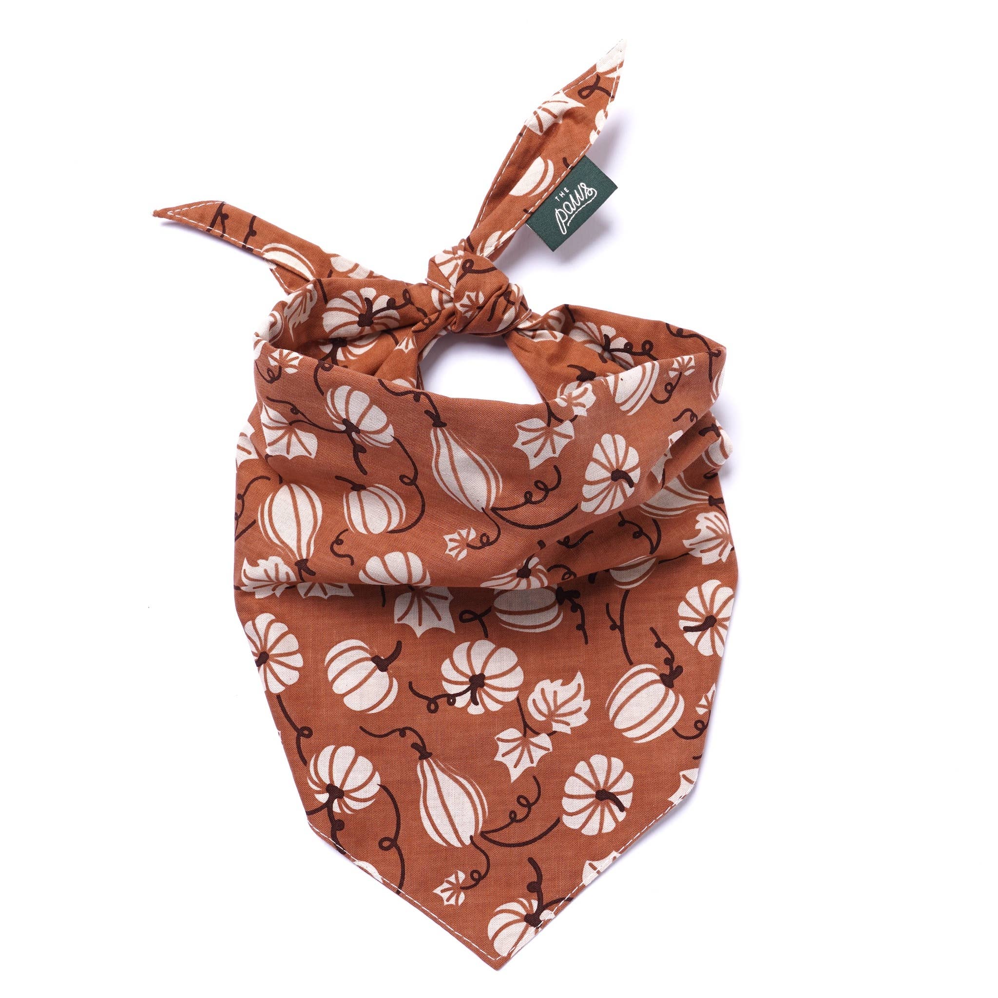 Bandana Citrouilles