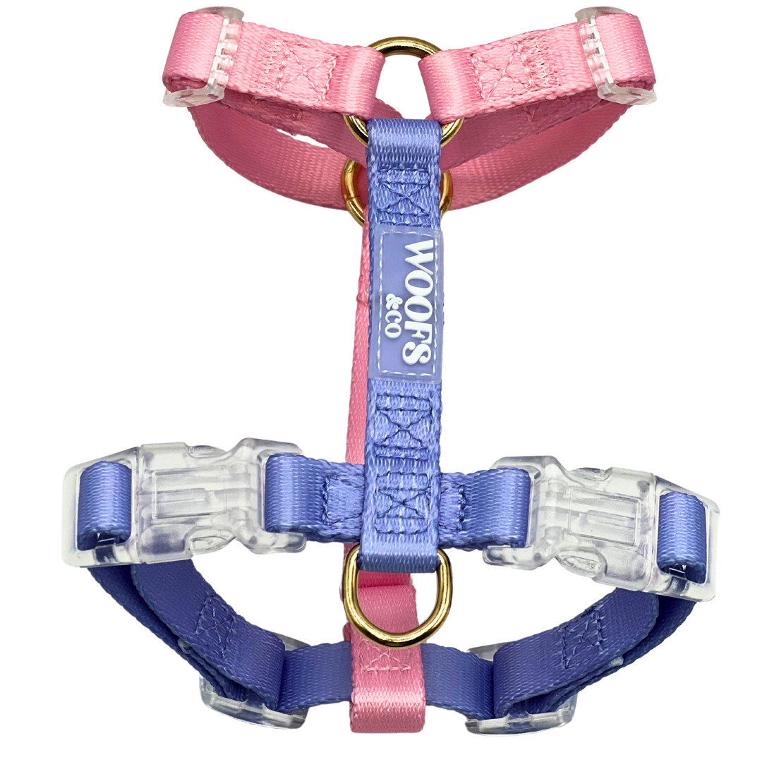Harnais bicolore Rose & Lavande