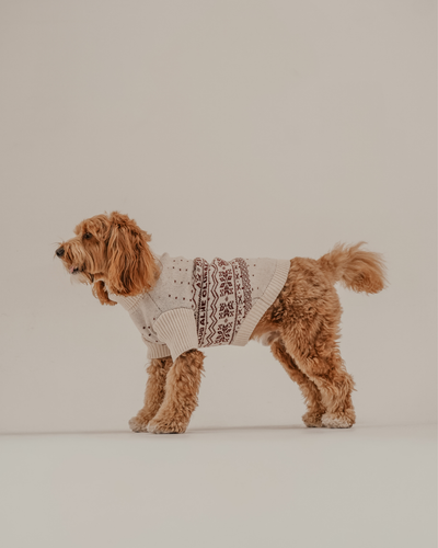 By Teddy - Snowberry | Pull Après-ski en maille à col roulé - S/M